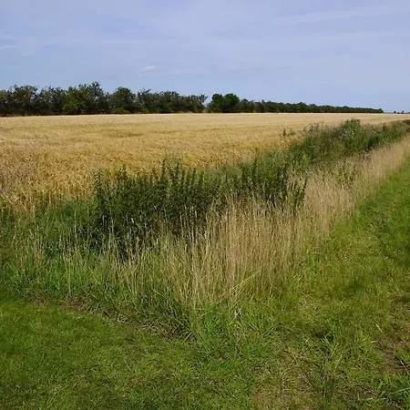 Aagaarden - Jerup